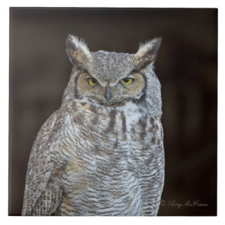 Carreau Grand hibou à cornes