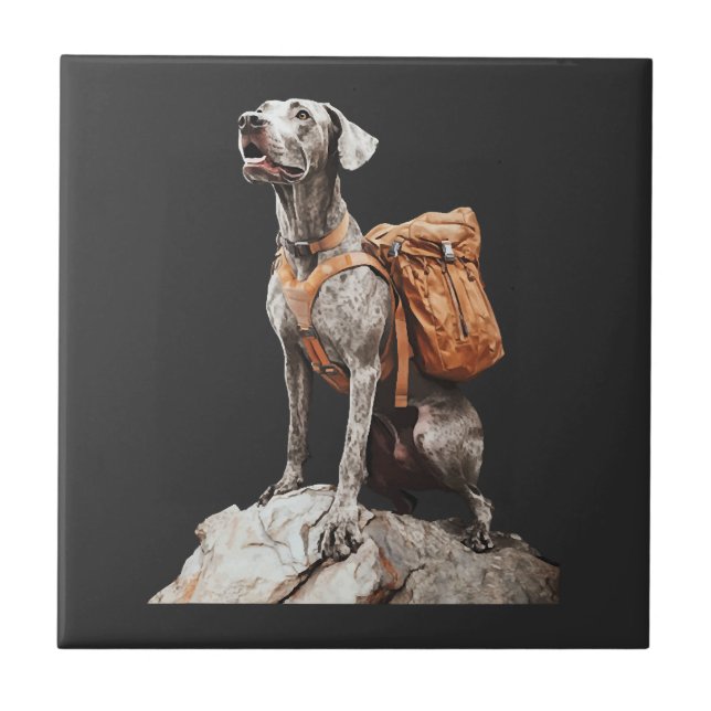 Carreau Grand Pitbull Dane (Devant)