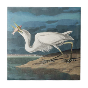Carreau Grande Peinture de la faune d'Audubon Heron blanc