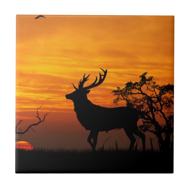 Carreau Grande silhouette de mâle au coucher du soleil (Devant)