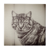 Grange Cat Sepia Animaux Brown Carrelage céramique