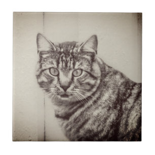 Carreau Grange Cat Sepia Animaux Brown Carrelage céramique