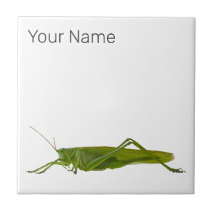 Carreau Grasshopper ou Hayhorse Retro Insect animal cadeau