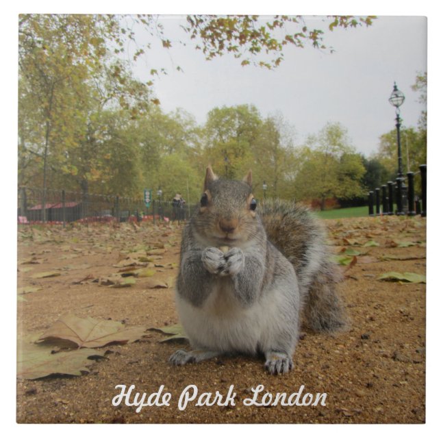 Carreau Gray Squirrel Hyde Park Londres. (Devant)