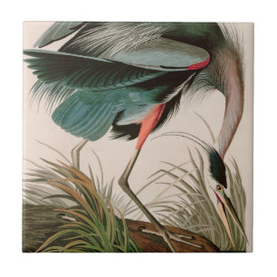 Carreau Great Blue Heron Birds of America Audubon Imprimer