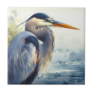 Carreau Great Blue Heron Faune Mer Terres Humides Oiseaux 