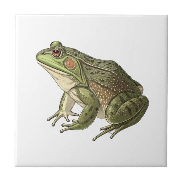 Carreau Grenouille (Devant)