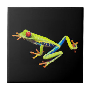 Carreau Grenouille peinte aux yeux rouges