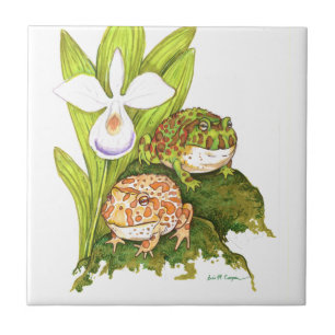 Carreau Grenouilles à cornes