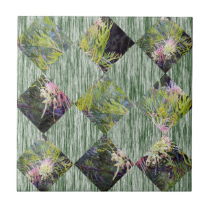 Carreau Grevillea : Embrasser les Motifs de Diamants de la