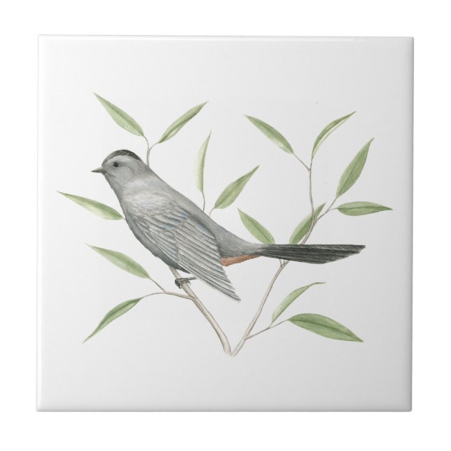 Carreau Gris Catbird Oiseau Art (Devant)