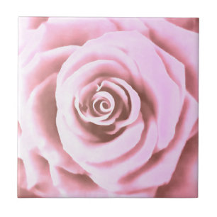 Carreau Grosse rose pâle