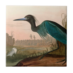 Carreau Grue bleue ou Heron Birds of America Audubon Impri