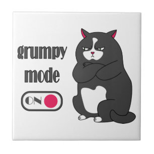 Carreau Grumpy mode on funny fat cat