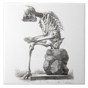 Carreau Halloween squelette assis anatomie