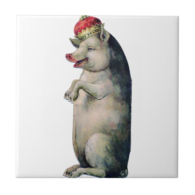 Carreau Happy pig king (Devant)