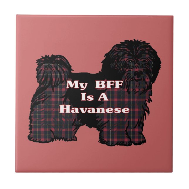 CARREAU HAVANESE BFF (Devant)
