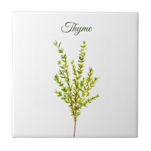 Carreau Herbe de thym vert cuisine Cuisine culinaire Plant