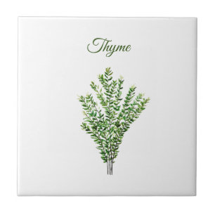 Carreau Herbe de thym vert cuisine Cuisine culinaire Plant