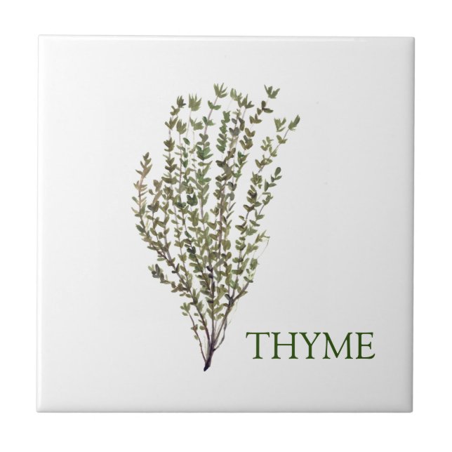 Carreau Herbe de thym vert cuisine Cuisine culinaire Plant (Devant)