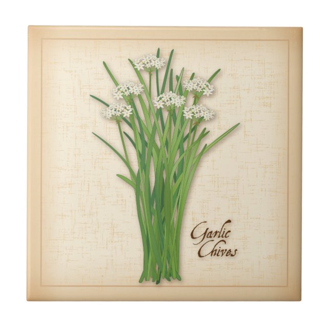 Carreau Herbe Garlic Chives (Devant)