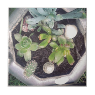 Carreau Heure du thé ? Une bouilloire à thé plantée