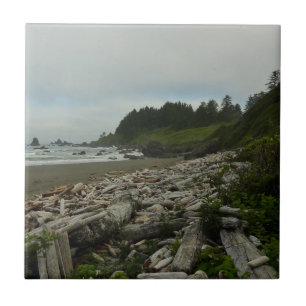 Carreau Hidden Beach I at Redwood National Park