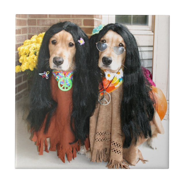Carreau Hippie de Halloween de golden retriever (Devant)
