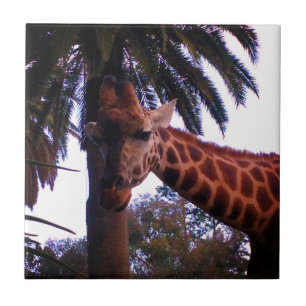 Carreau Histoires de Grande Girafe sous l'Arbre à Palmes,