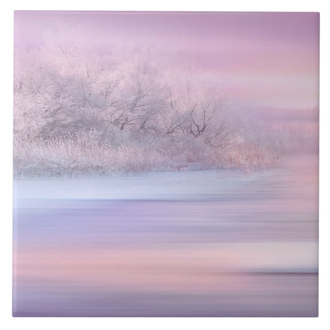 Carreau Hiver 06 (Devant)