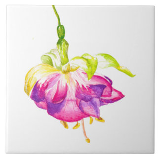 Carreau Holi on a Ceramic Tile (B)