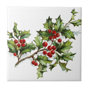 Carreau Holly Berries 001