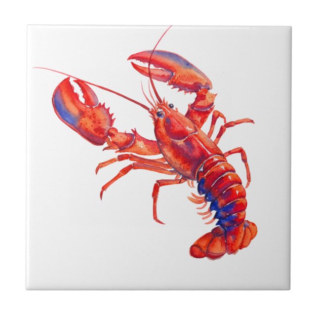 Carreau Homard (Devant)