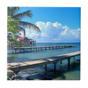 Carreau Honduras - Plage de Roantan