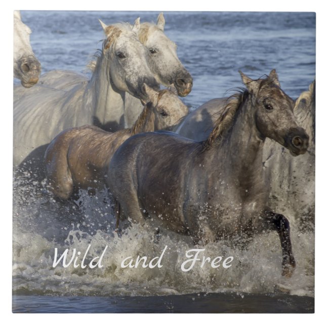 Carreau Horses galloping in the water (Devant)