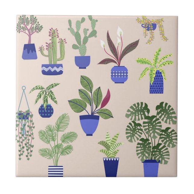 Carreau Houseplants Cactus Succulent Motif rose pâle (Devant)