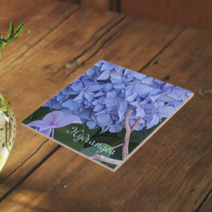 Carreau Hydrangea à Tête Bleue Fleur Florale