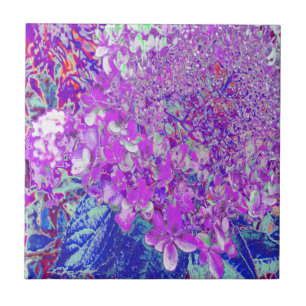 Carreau Hydrangea élégant violet et bleu limelight