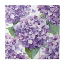 Hydrangea Violette Fleur Lavande Aquarelle 