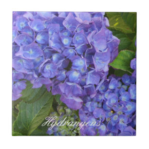 Carreau Hydrangeas violettes