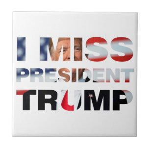 Carreau I Miss Président Trump