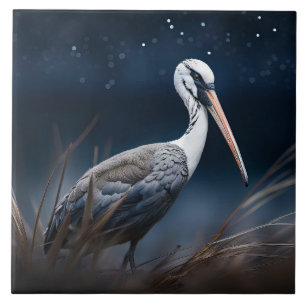 Carreau Ibis à minuit