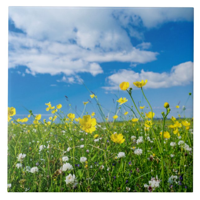 Carreau île de South Uist | Écosse (Devant)