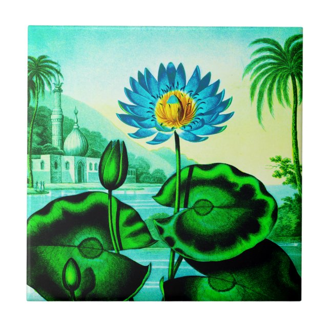 Carreau Illustration Blue Egyptian Water Lily / Lotus (Devant)