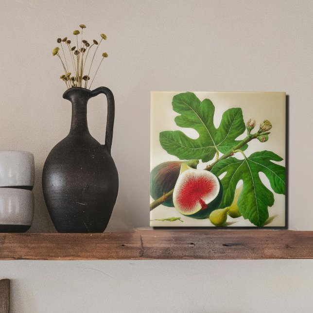 Carreau illustration de fig vintage (Créateur téléchargé)