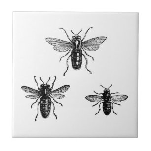 Carreau Illustration de la reine abeille et abeilles ouvri
