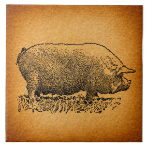 Carreau Illustration de l'art antique du cochon à l'occid