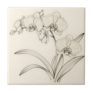 Carreau Illustration de ligne élégante d'orchidée Phalaeno