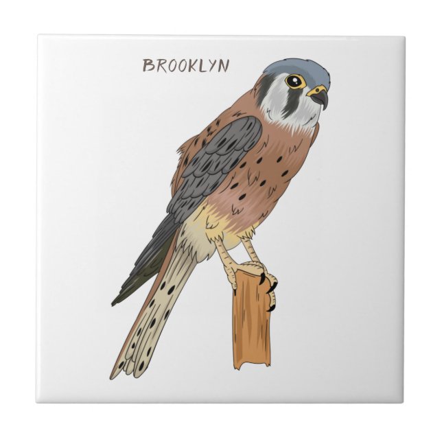 Carreau Illustration d'oiseau américain Kestrel (Devant)