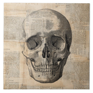 Carreau Illustration du crâne antique Nouvelles de l'art 